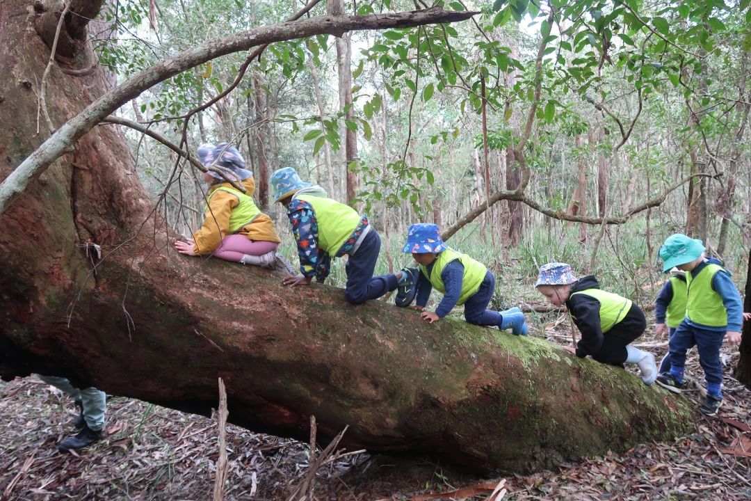 Image of Classroom at Lyrebird Preschool